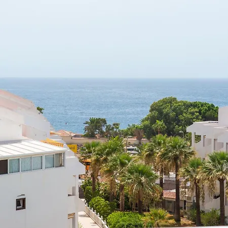 Paloma Los Cristianos (Tenerife)