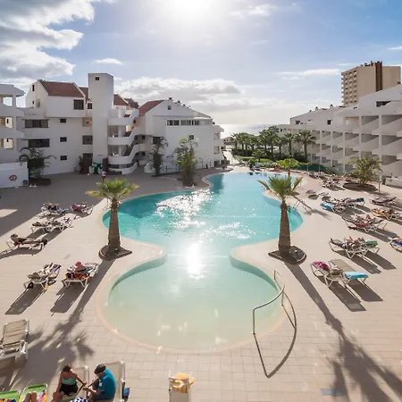 Paloma Los Cristianos (Tenerife)