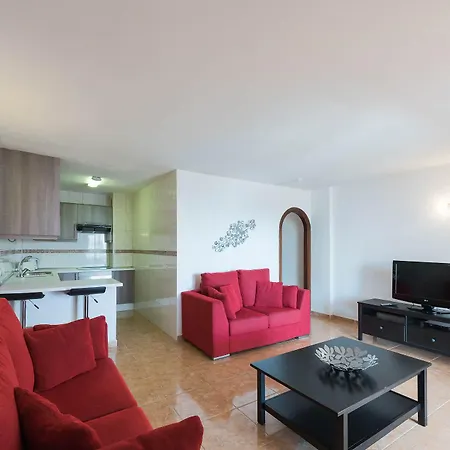 Paloma * Los Cristianos (Tenerife)