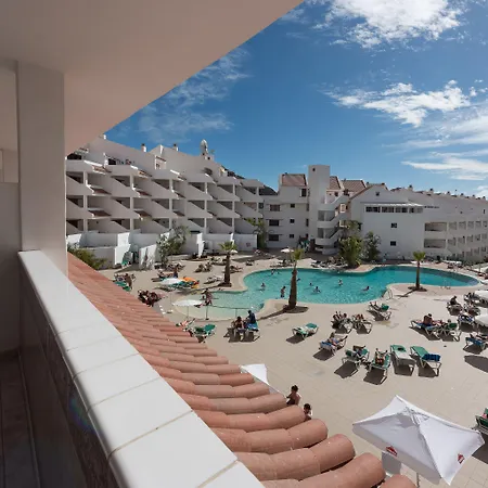 Paloma Los Cristianos (Tenerife)