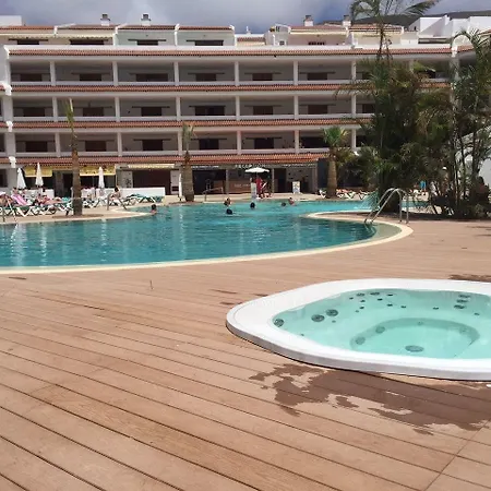 Paloma * Los Cristianos (Tenerife)