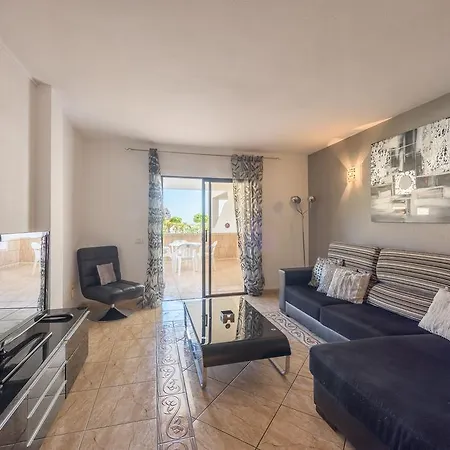 Paloma Los Cristianos (Tenerife)