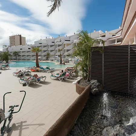 Paloma * Los Cristianos (Tenerife)