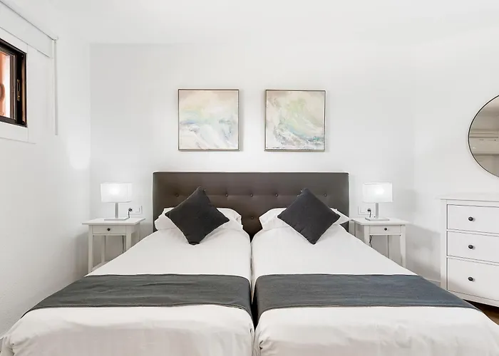 Paloma Los Cristianos (Tenerife)