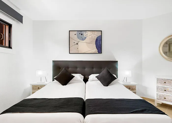 Paloma Los Cristianos (Tenerife)