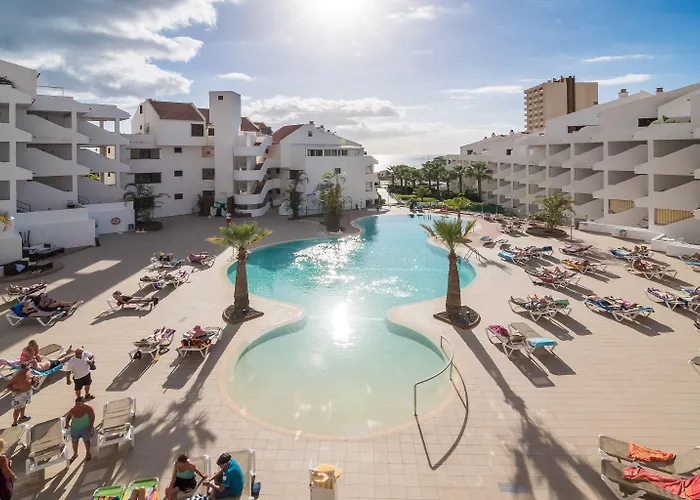 Paloma Los Cristianos (Tenerife)