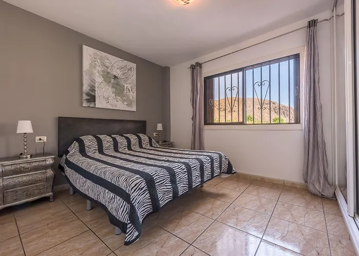 Paloma Los Cristianos (Tenerife)