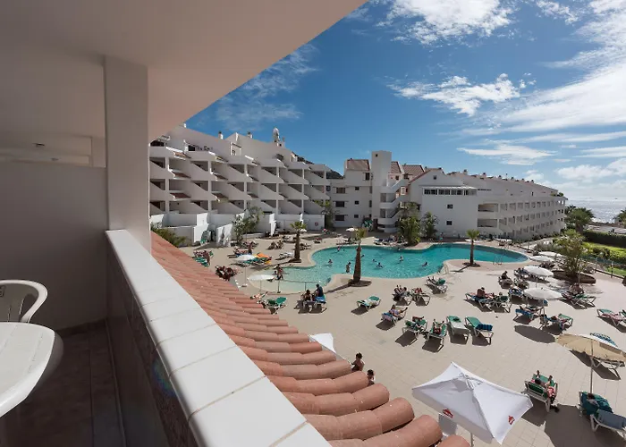 Paloma Los Cristianos (Tenerife)