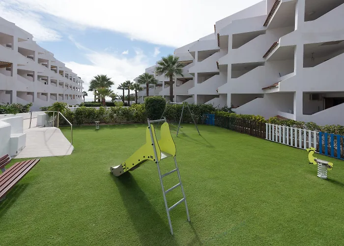 Paloma Los Cristianos (Tenerife)