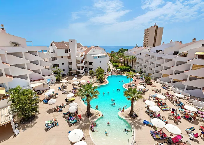 Paloma * Los Cristianos (Tenerife)