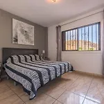 Paloma Los Cristianos (Tenerife)