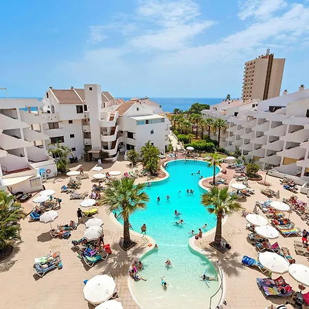 Paloma * Los Cristianos (Tenerife)